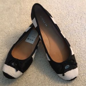 Coach florabelle zebra flats